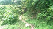 Way to Bet Meas Cave: by macedonboy, Views[254]
