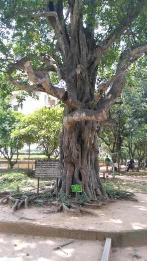 Choeung Ek Genocidal Center