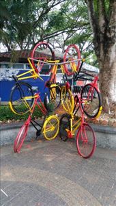 Bicycle rack on the esplanade: by macedonboy, Views[192]