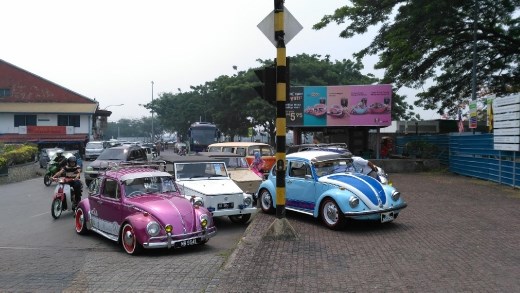 Beetle car show on esplannade
