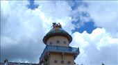 Cao Dai Temple - Middle tower of Buddha on tiger: by macedonboy, Views[144]