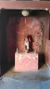 Dog guardians at eastern entrance of Japanese Covered Bridge: by macedonboy, Views[253]