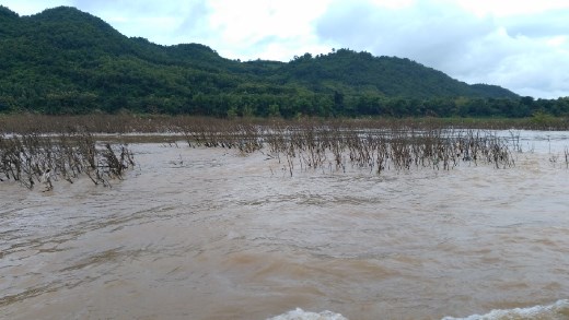 Randome scene on the Mekong
