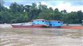 Scene from Mekong River - Boat Houses: by macedonboy, Views[328]