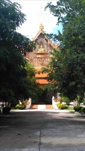 Wat That Foon: by macedonboy, Views[138]