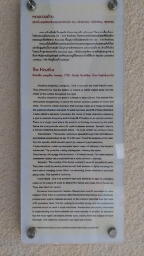 Description of Nautalus