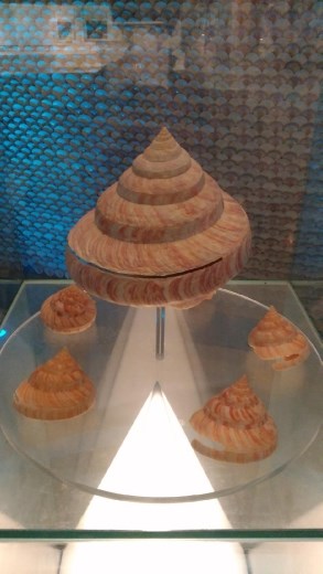 Slit shells