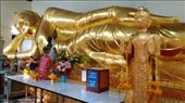 Phra Pathom Chedi School - Reclining Buddha: by macedonboy, Views[125]