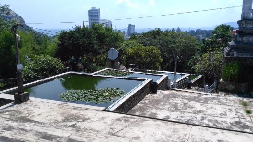 Water garden in Wat Khao Takiap