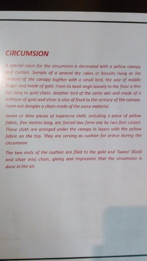 Circumsion description