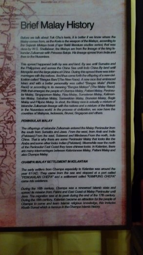 Some odd Malaysia story