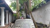 Crows at Kelaniya Raja Maha Vihara: by macedonboy, Views[181]