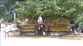 Shrine at Kelaniya Raja Maha Vihara	: by macedonboy, Views[189]