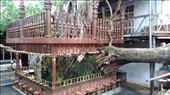Sacred tree in Gangaramaya Temple: by macedonboy, Views[110]