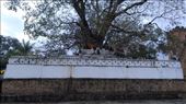 Temple in the palace grounds: by macedonboy, Views[203]