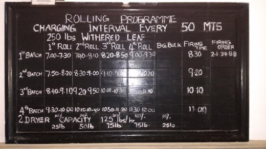 Tea making schedule