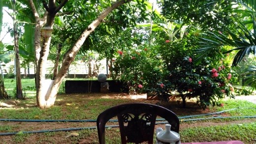 Thisara Guest House - Garden view