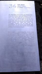 Elephants on council description: by macedonboy, Views[244]