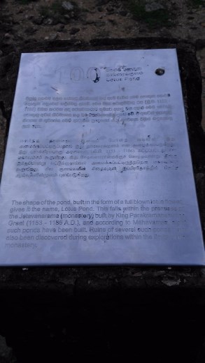 Lotus Pond description