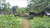 Buddhist meeting site. : by macedonboy, Views[237]