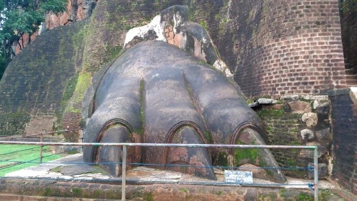 Close up of the Lions Right Paw