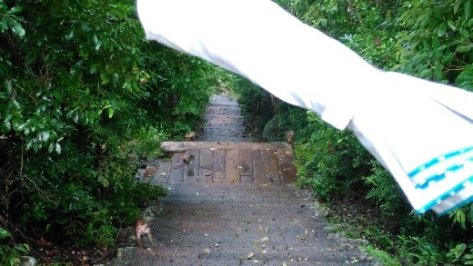 Self defence with an umbrella