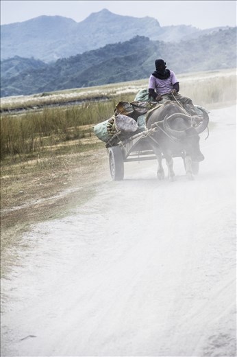 Hunting and gathering are a major part of the Aeta way of life