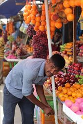 by madamemahsa, Views[260]