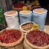 by madamemahsa, Views[251]