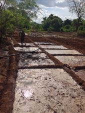 by madamemahsa, Views[416]