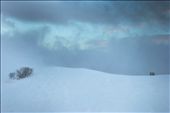 Everything covered in snow on the mountains of Transilvania: by mado_samiou, Views[473]