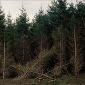 I shot this one in the Ardennes. I was intrigated by this place as it looked like a mysterious tension was coming from within the ground...: by maellecollin, Views[213]