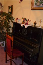 by magdalena, Views[608]