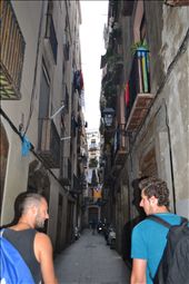 by magdalena, Views[222]