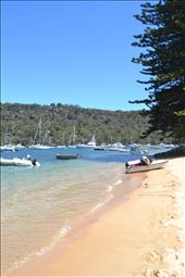 by magdalena, Views[694]