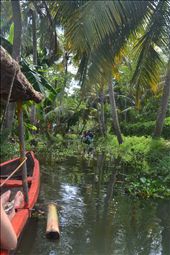 by magdalena, Views[535]