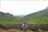 Munnar- tea plantations: by magdalena, Views[241]