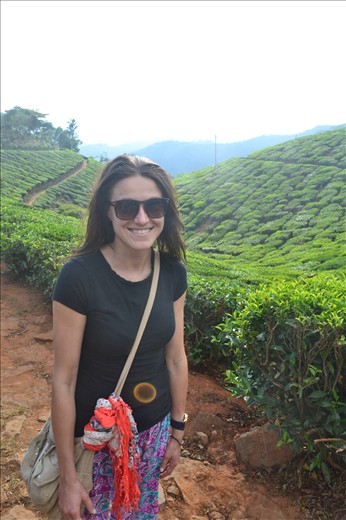 Munnar- Tea plantations