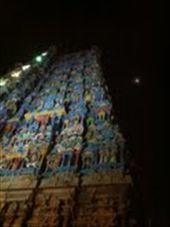 by magdalena, Views[200]