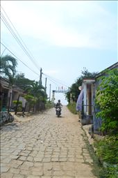 by magdalena, Views[228]