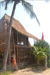 by magdalena, Views[203]