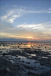 by magdalena, Views[1825]