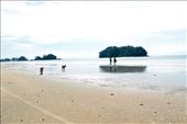 Koh Pling, one of the beaches more devastated by the tsunami: by magdalenabarro, Views[343]