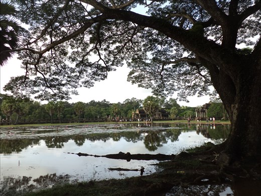 4 C's of life: Choice, Cambodia, Culture, Change