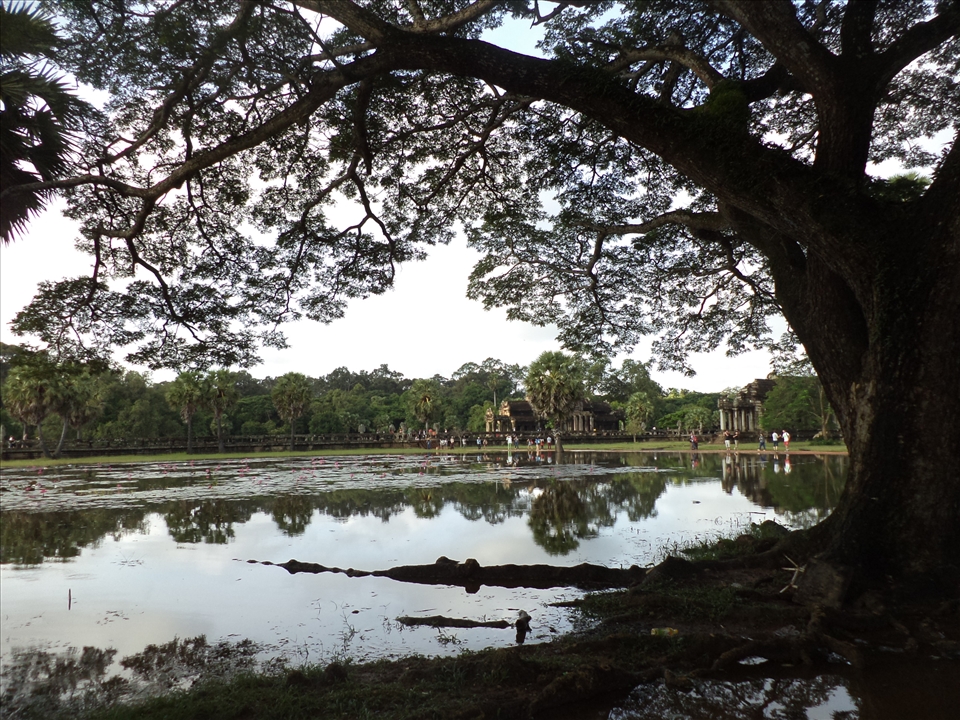 4 C's of life: Choice, Cambodia, Culture, Change