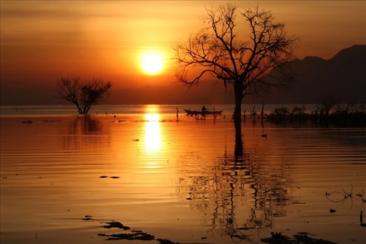 FISHERMAN AT SUNRISE IN CHAPALA LAKE, TREE REFLECTION