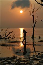 FISHERMAN WALKS ON SHORE OF LAKE: by magiclake, Views[235]