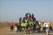 The camel race at Sam sand dunes in Jaisalmer, is an annual event, which attracts a lot of audience, that include the foreigners/tourists and the nearby villagers. The tourists sat comfortably on camels to view the race, giving them a great height advantage over the ones standing and watching. The others? well, some decided to hop on to the nearby water tank, that shows the amount of interest they have in this annual race.: by maheshramesh, Views[532]