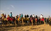 The makeshift seating arrangement, in the form of camels. The tourists wre seated on the camels, giving them a better viewpoint, and without the hassles of frequent feet stamping,  frequent view blocking and such stuff. On a deeper observation, the camels also seemed to spectate the race, as much as we humans  spectate a running race in olympics. Overall, all the images prove that nature is appreciated even in a desert, devoid of greenery, and still providing entertainment to others. : by maheshramesh, Views[596]