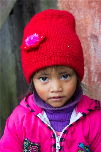 Cuteness is around everywhere all you need is the eye to see it 